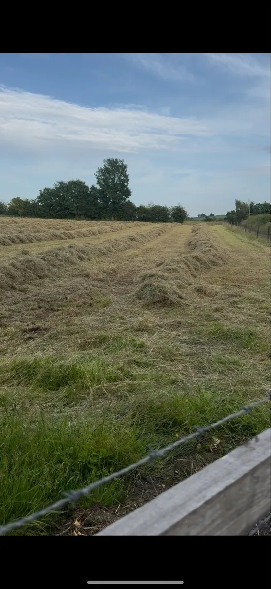 Round Bales - Image 4
