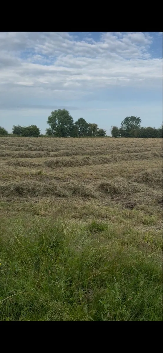 Round Bales - Image 2