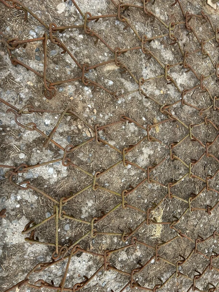 Chain Harrow - Image 4