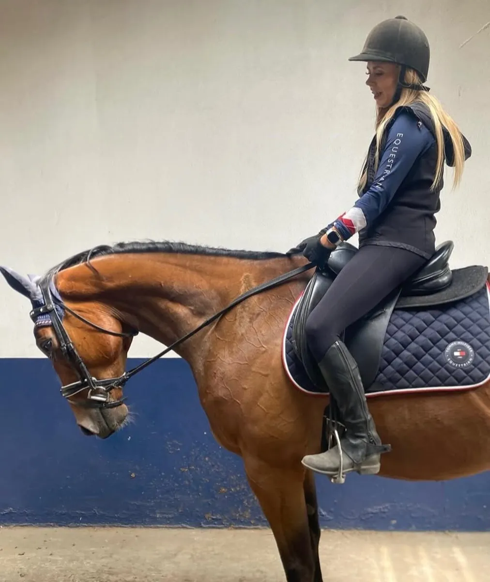Confidence giver 16hh bay gelding - Image 2
