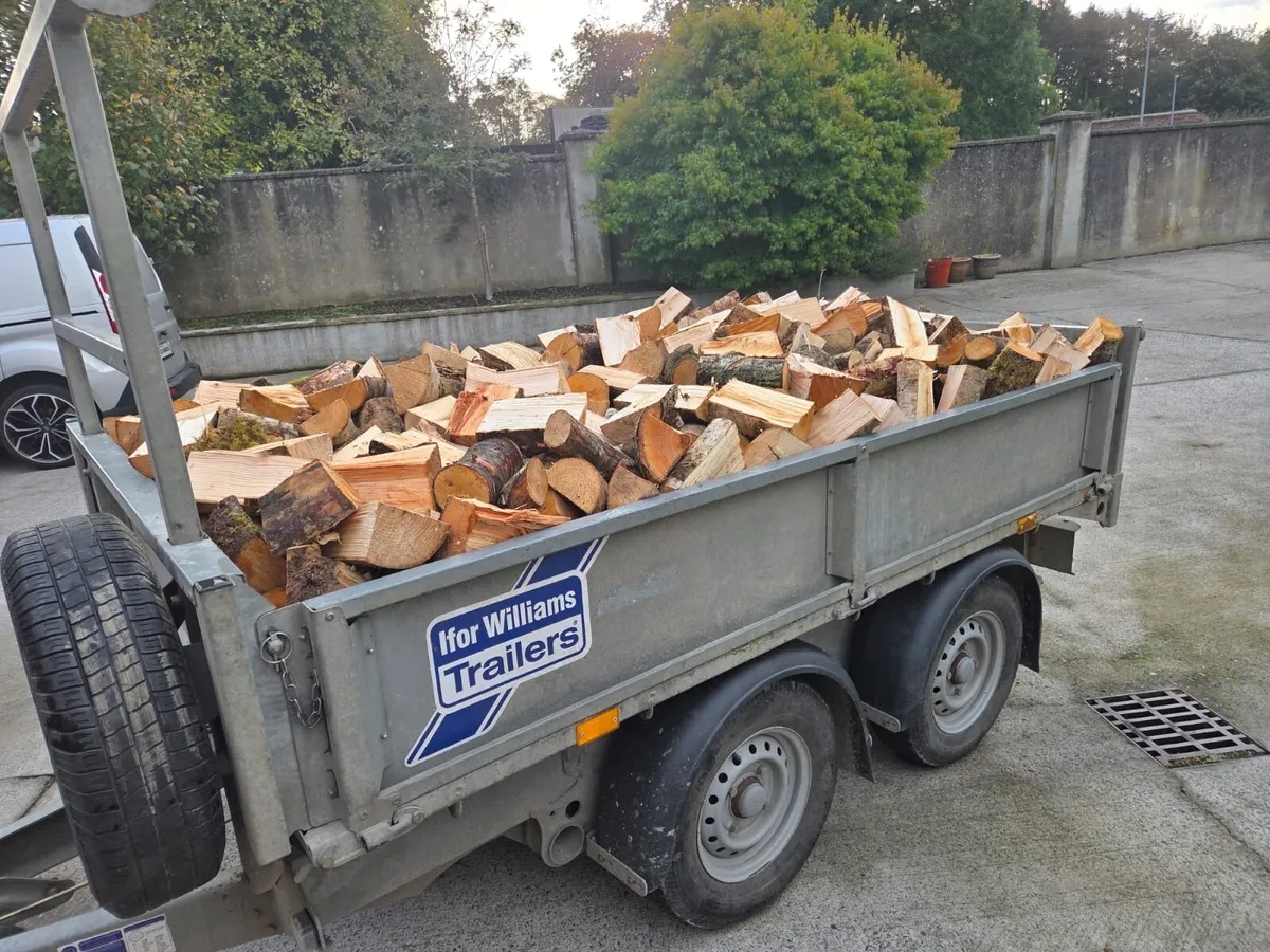 Bone Dry Ash Firewood - Image 2