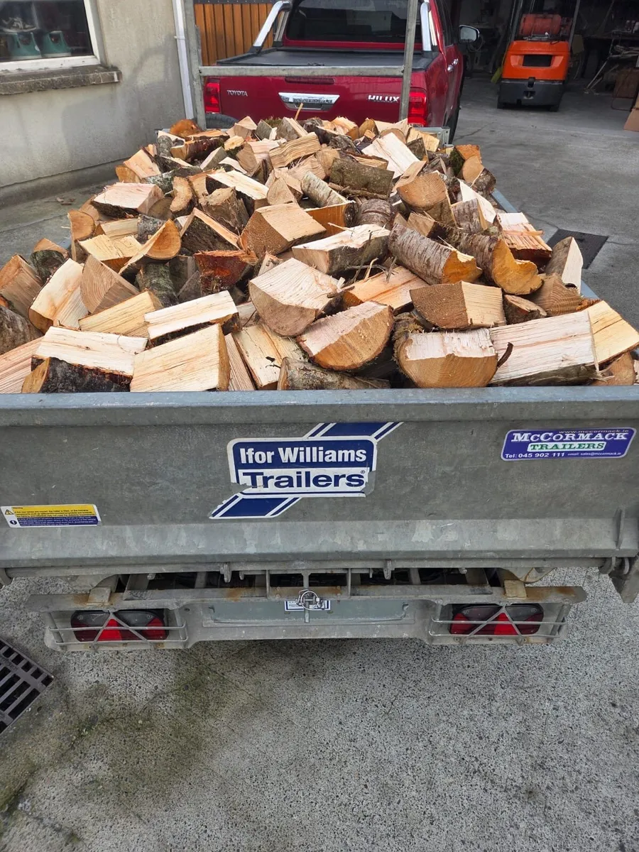 Bone Dry Ash Firewood - Image 3