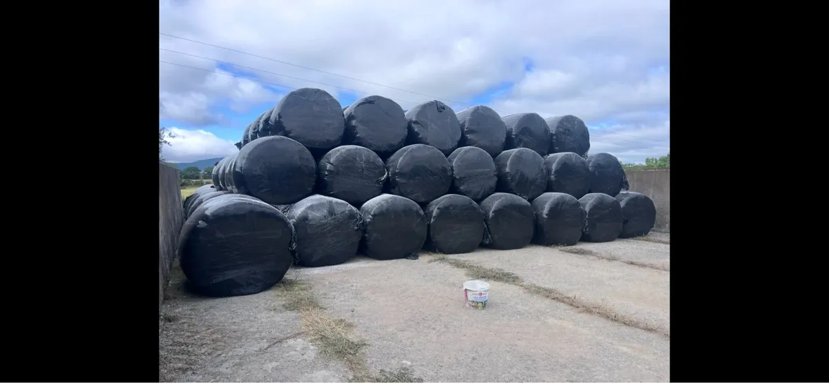 Silage bales