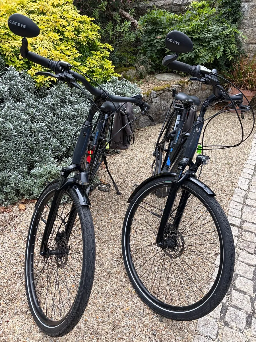 Matching Pair: 2 x Trek Verve+ 1 Lowstep Electric - Image 1