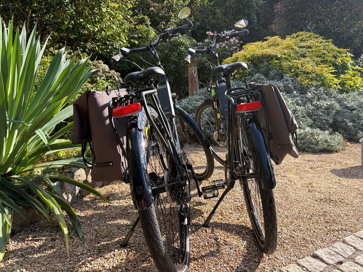 Matching Pair: 2 x Trek Verve+ 1 Lowstep Electric - Image 2