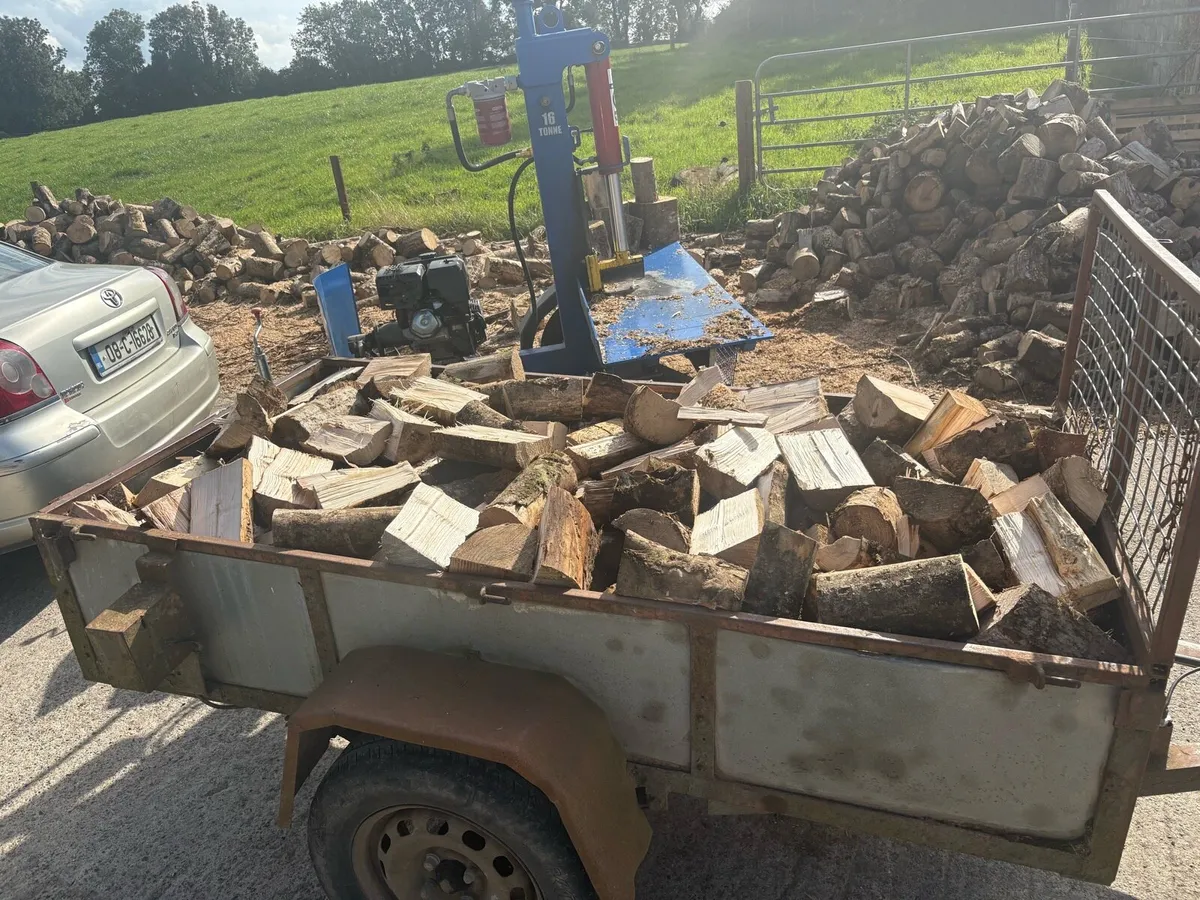 Bone Dry Ash Firewood - Image 4