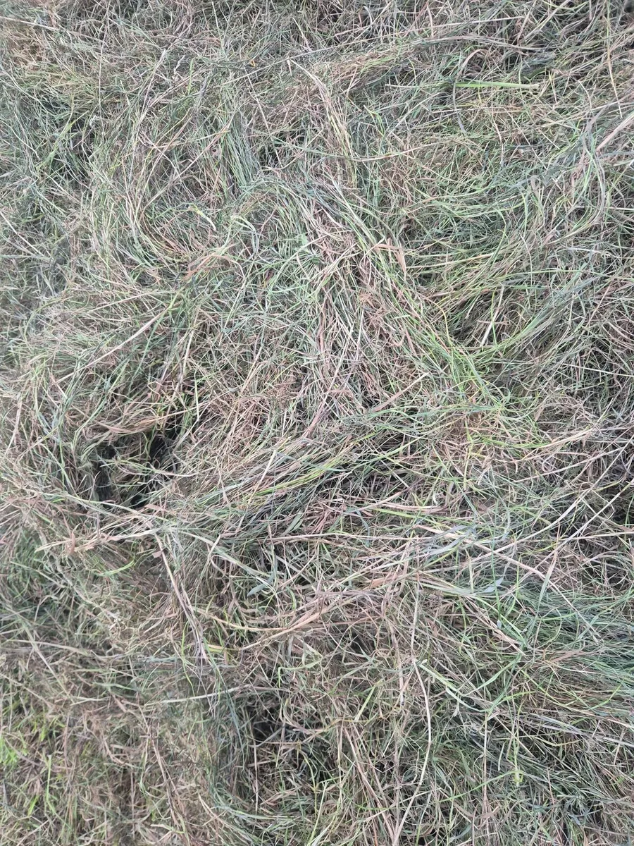 Silage Bales - Image 1