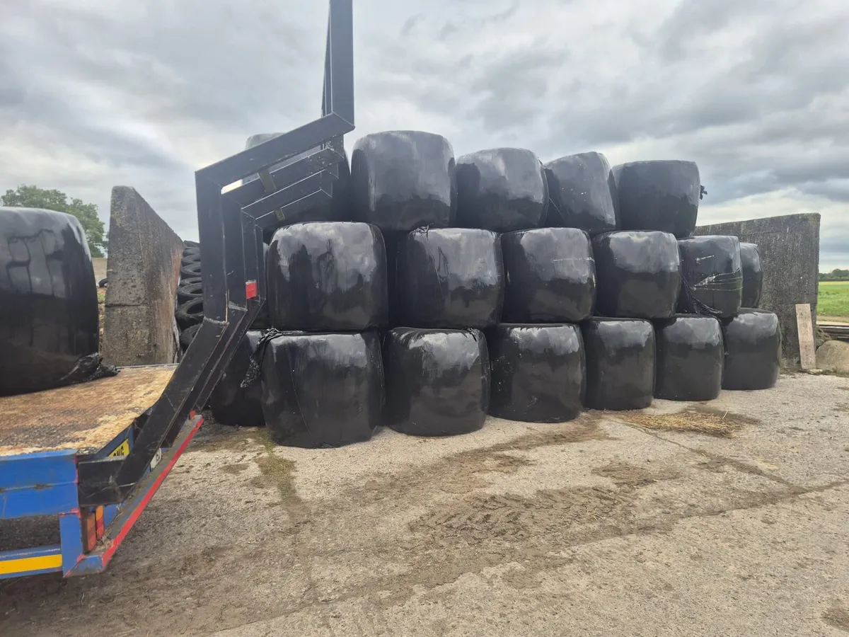 Silage Bales - Image 2