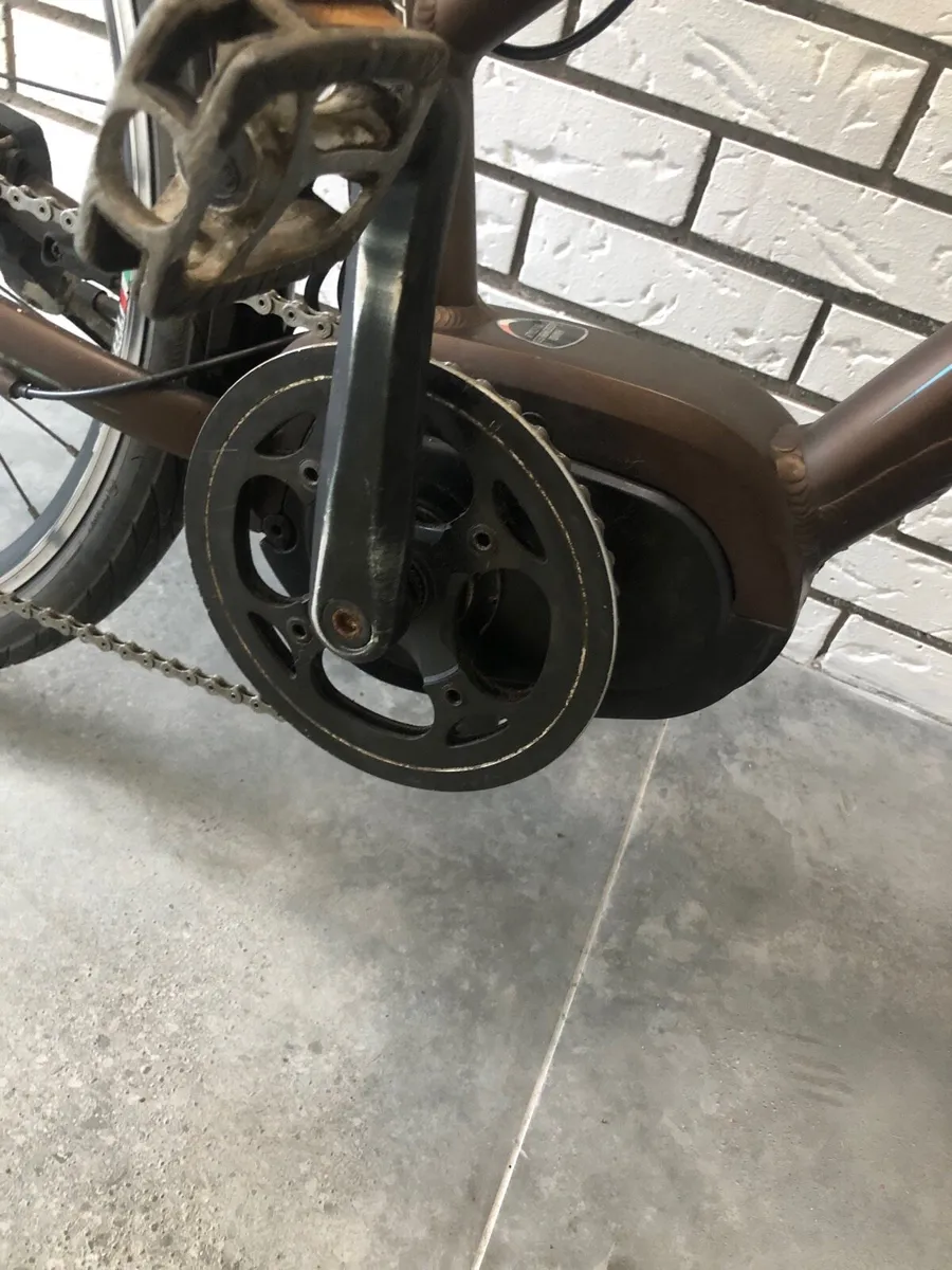 Bottecchia E bike - Image 4
