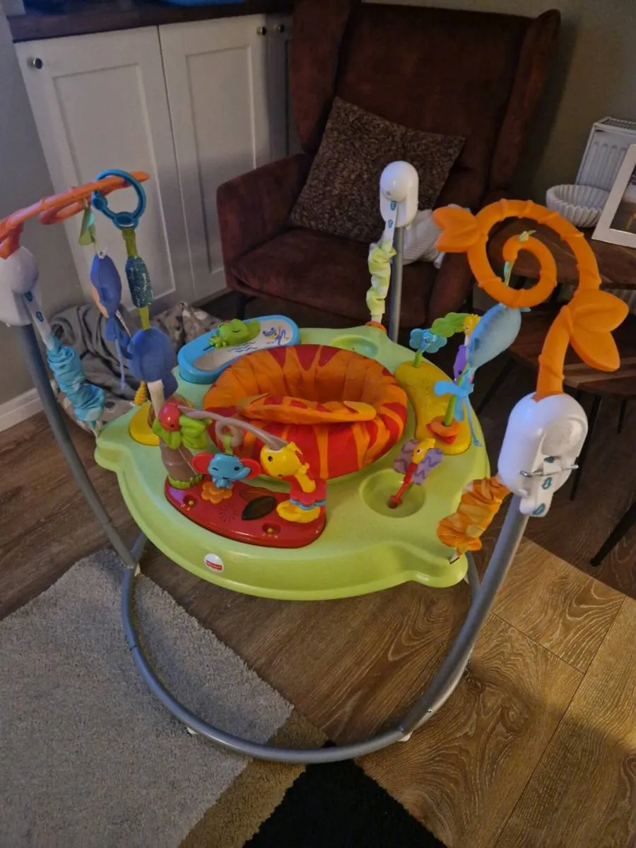 Baby jumperoo - Image 1