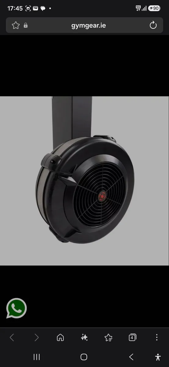 Air Ski Erg Wall Mount - Image 3