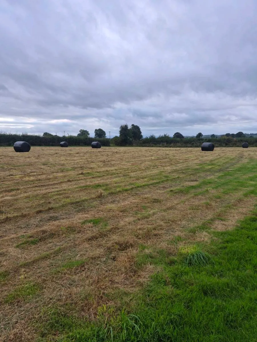 Baled second cut silage - Image 1