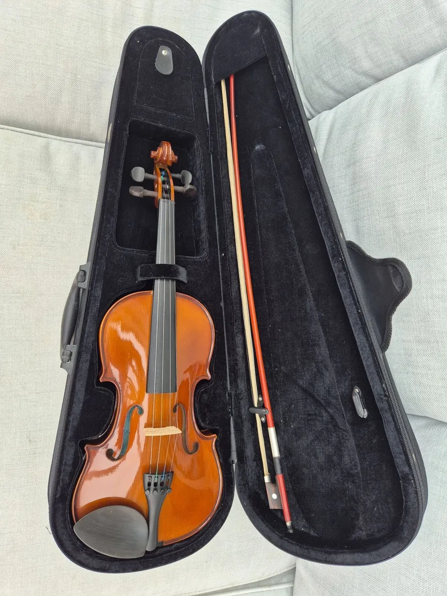 Violins - Image 4