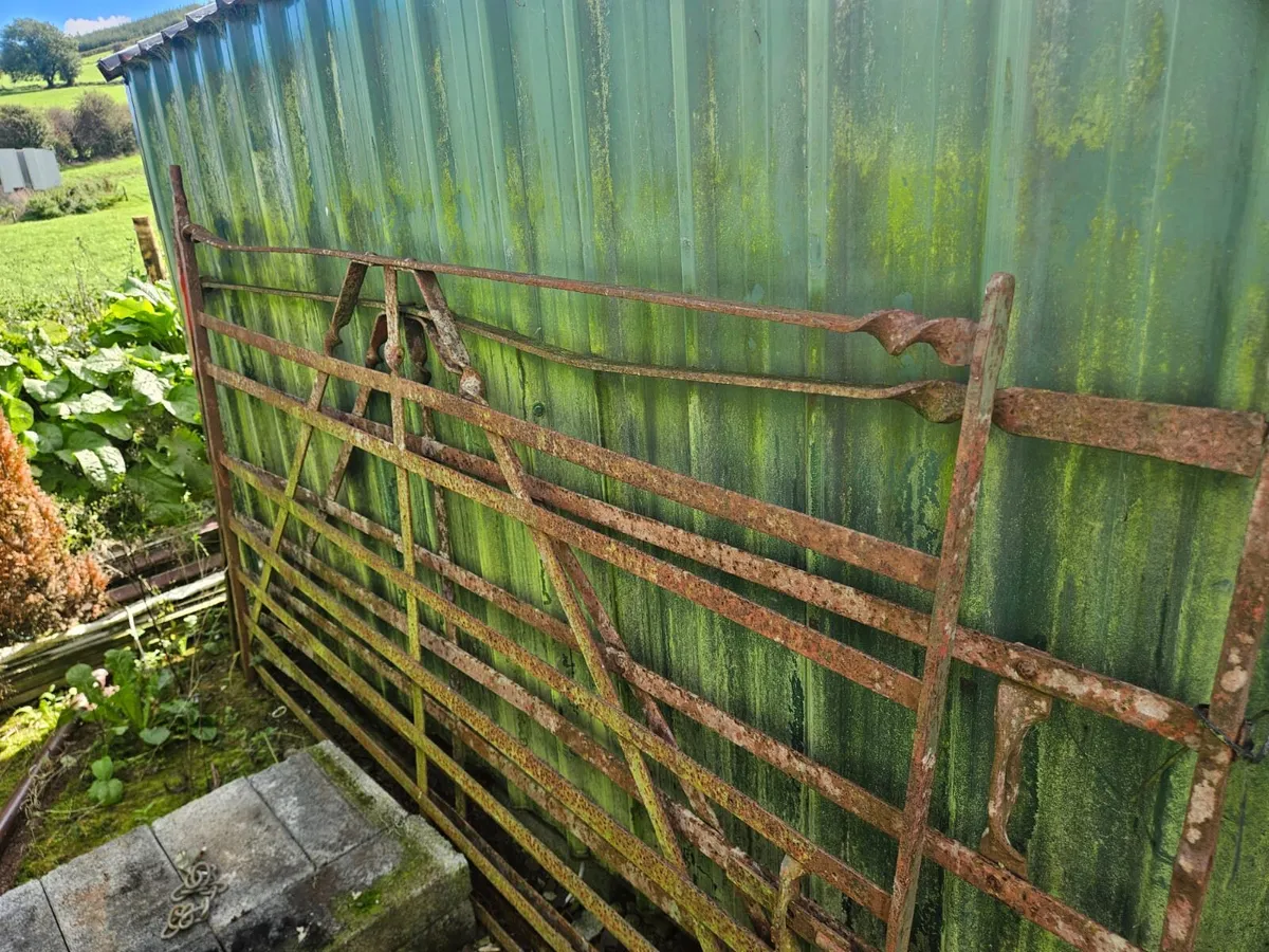 Shed clear out - Image 2