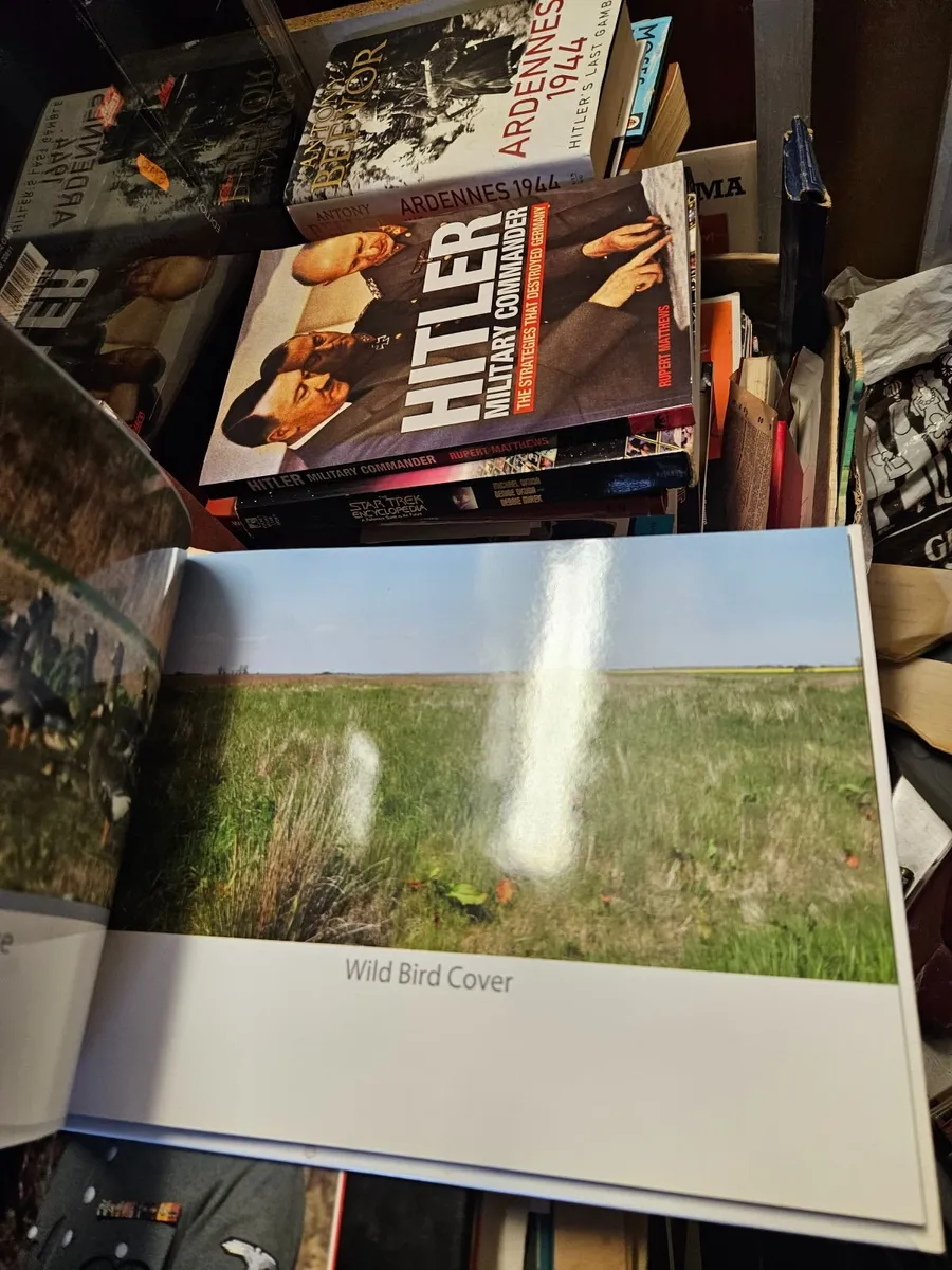 Book South Sloblands Wexford - Image 2