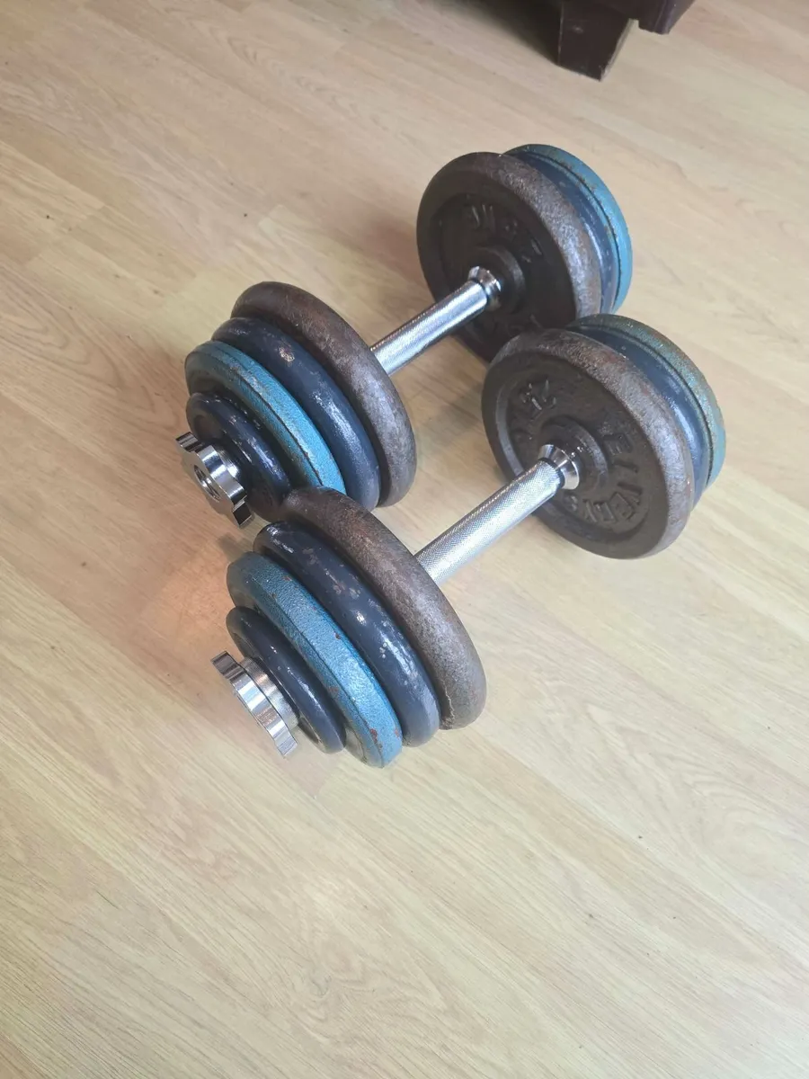 Dumbbells 2×16kg