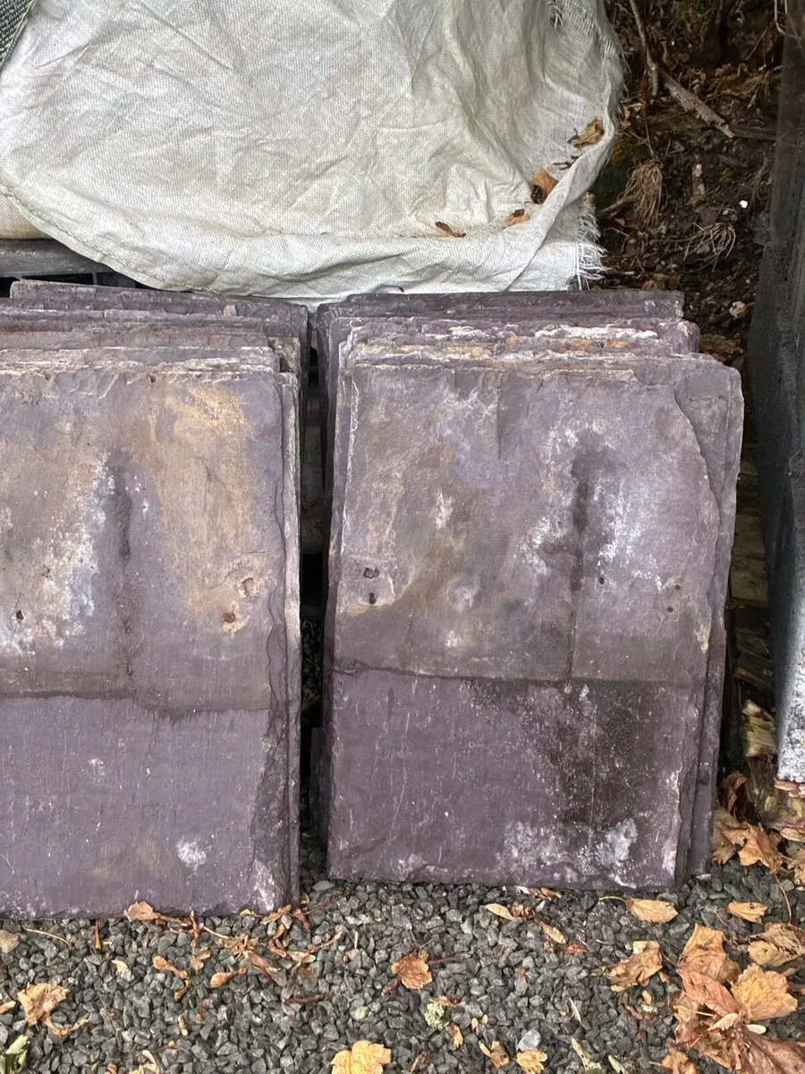 Blue Bangor slates - Image 2