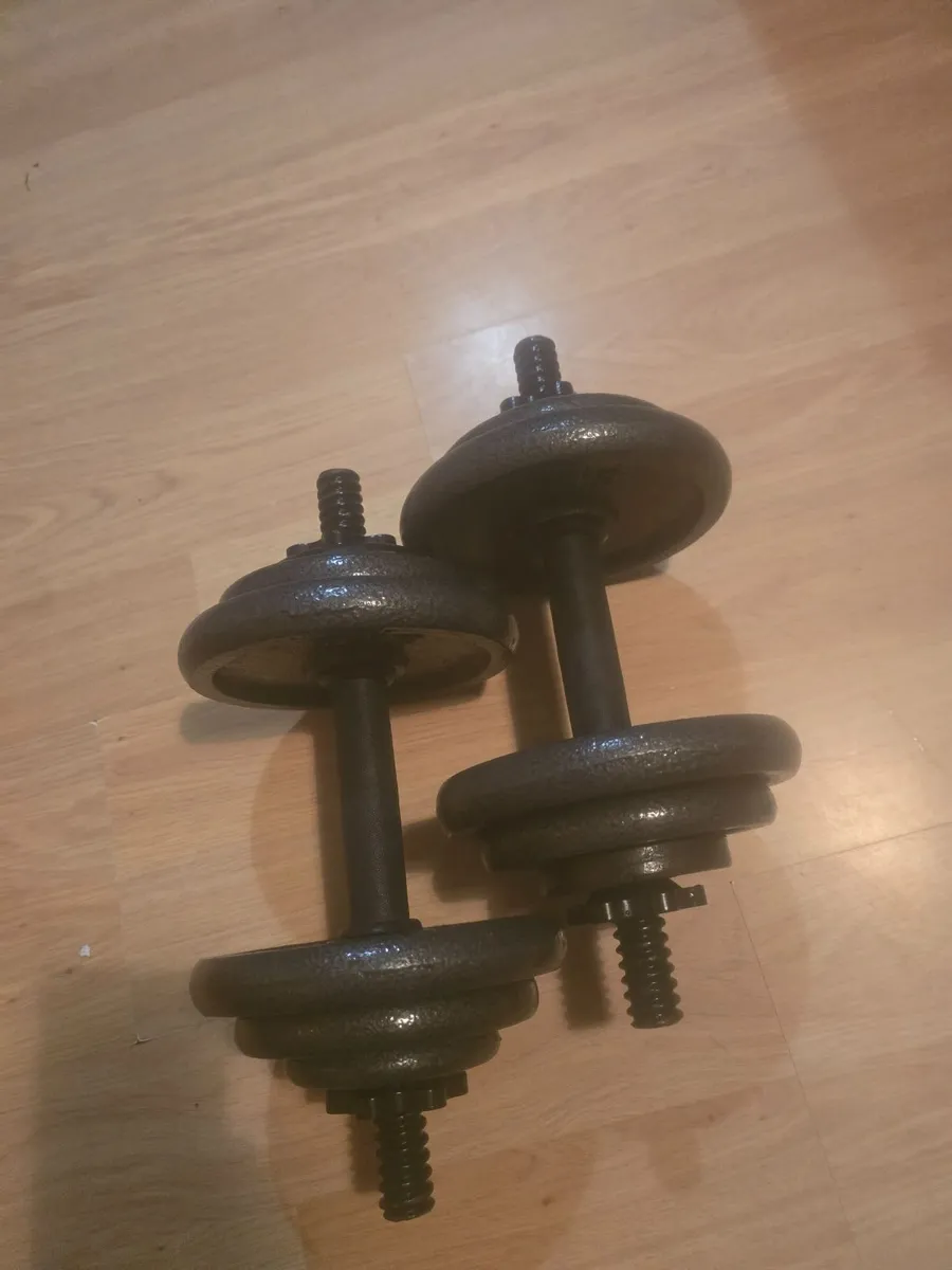 Dumbbells 2×10kg