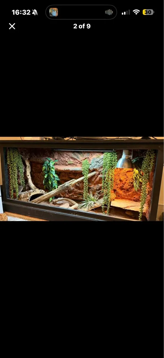 TWO Different Reptile tanks - Image 1
