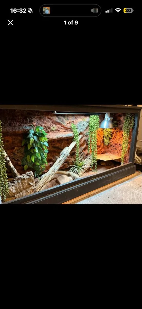 TWO Different Reptile tanks - Image 2