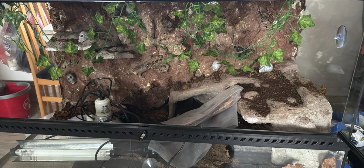 TWO Different Reptile tanks - Image 4