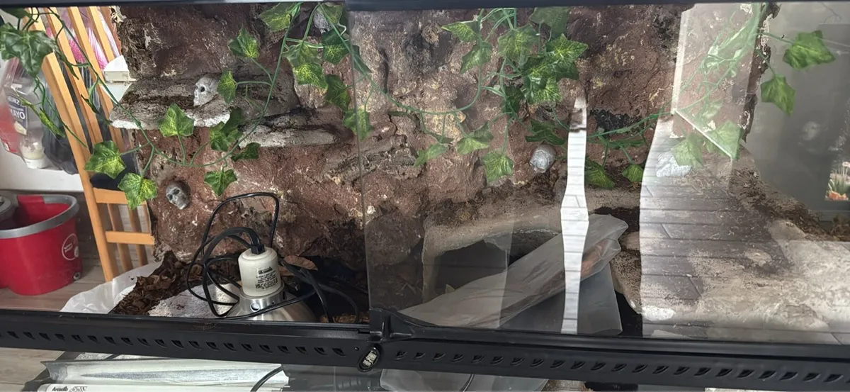 TWO Different Reptile tanks - Image 3
