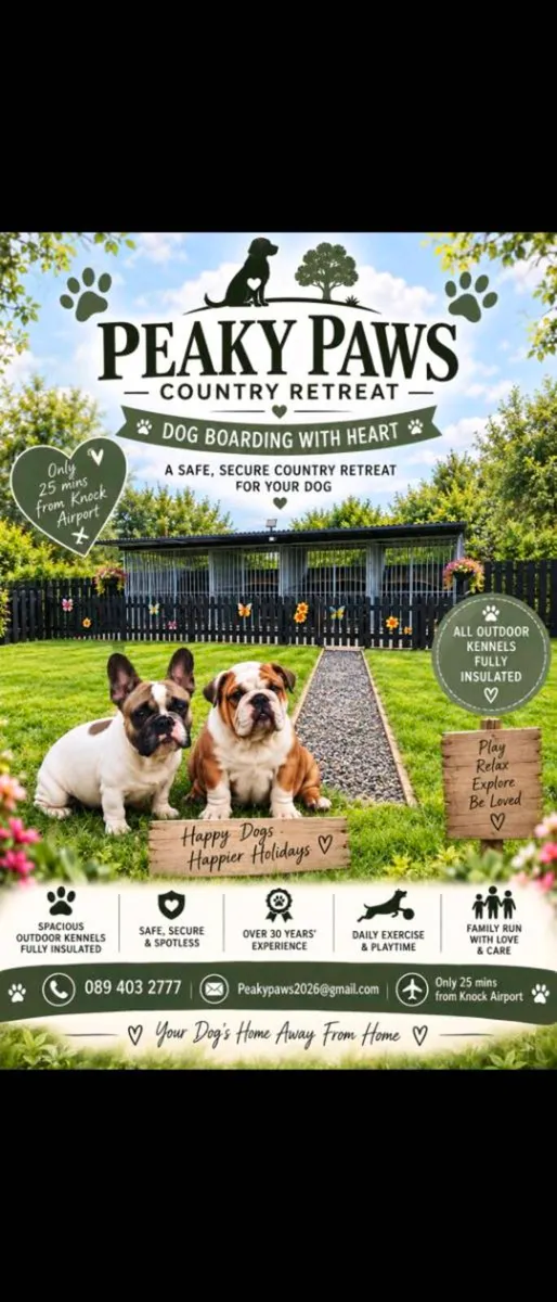Dog boarding * Close to knock airport *