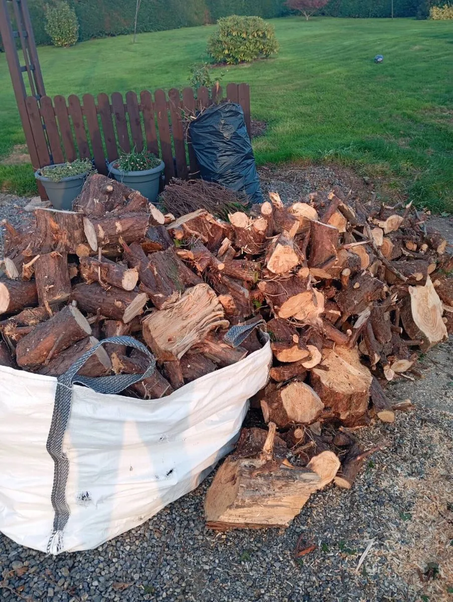 Timber - Image 1