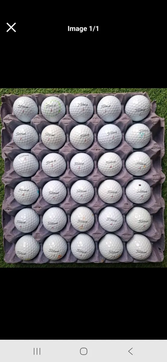 TITLEIST PRO V1 X