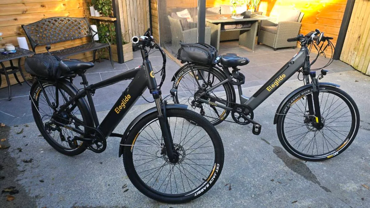 E bicycles - Image 1