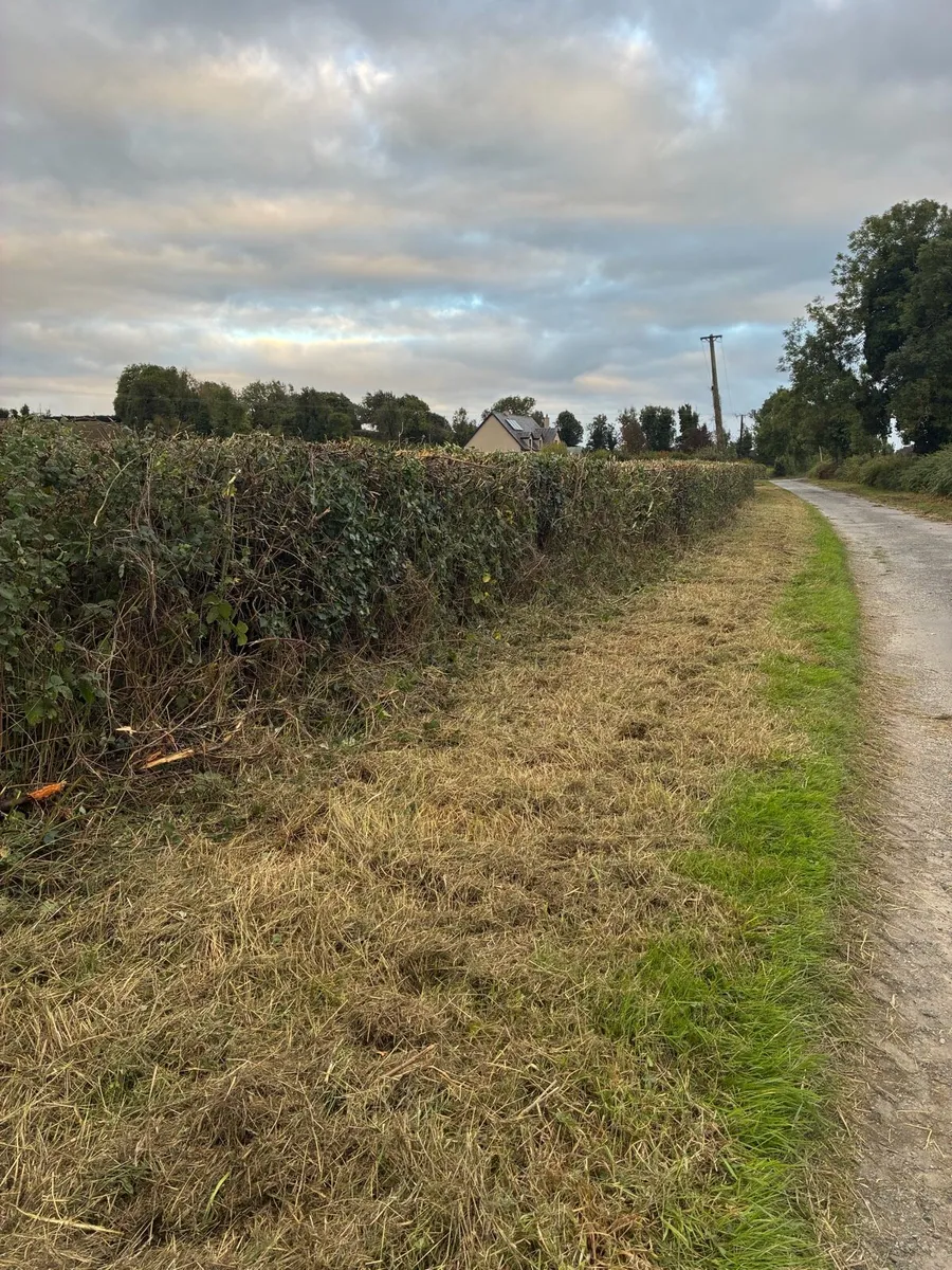 Hedge cutter hire - Image 3