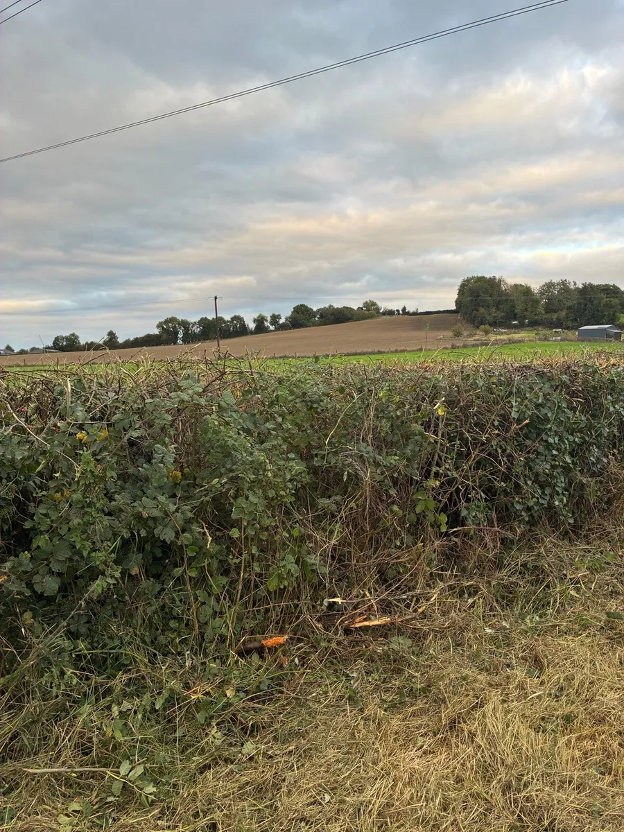 Hedge cutter hire - Image 4
