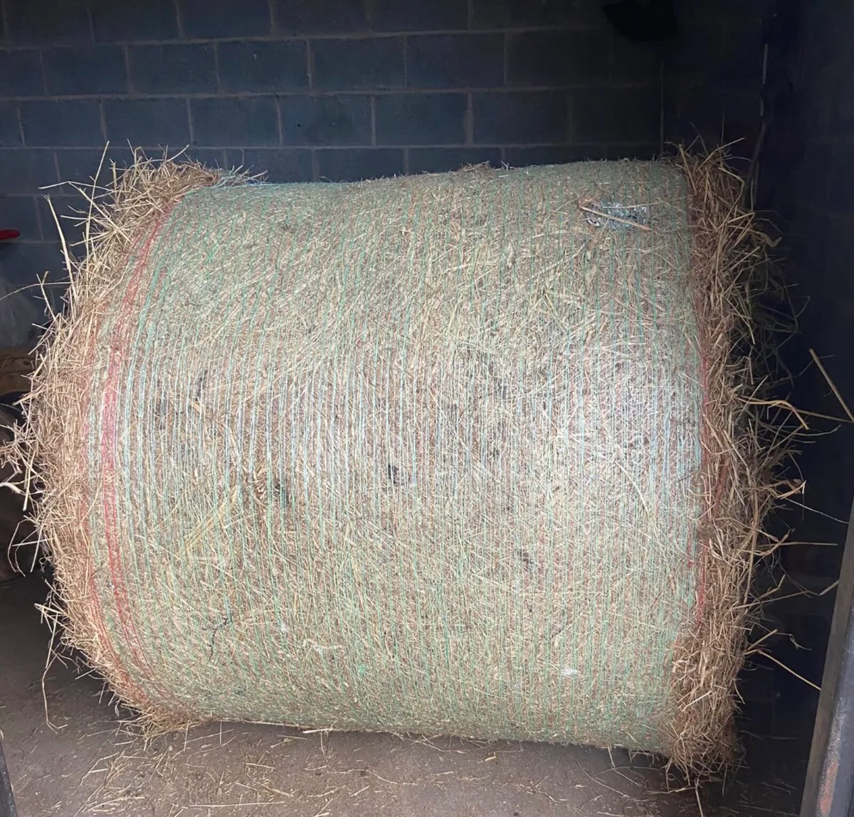Hay