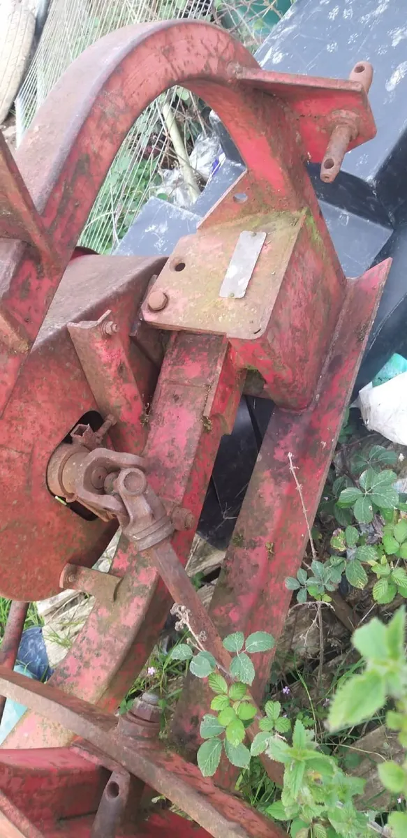 YARD CLEARANCE - Image 2