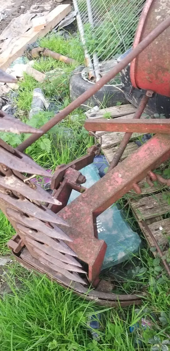 YARD CLEARANCE - Image 4