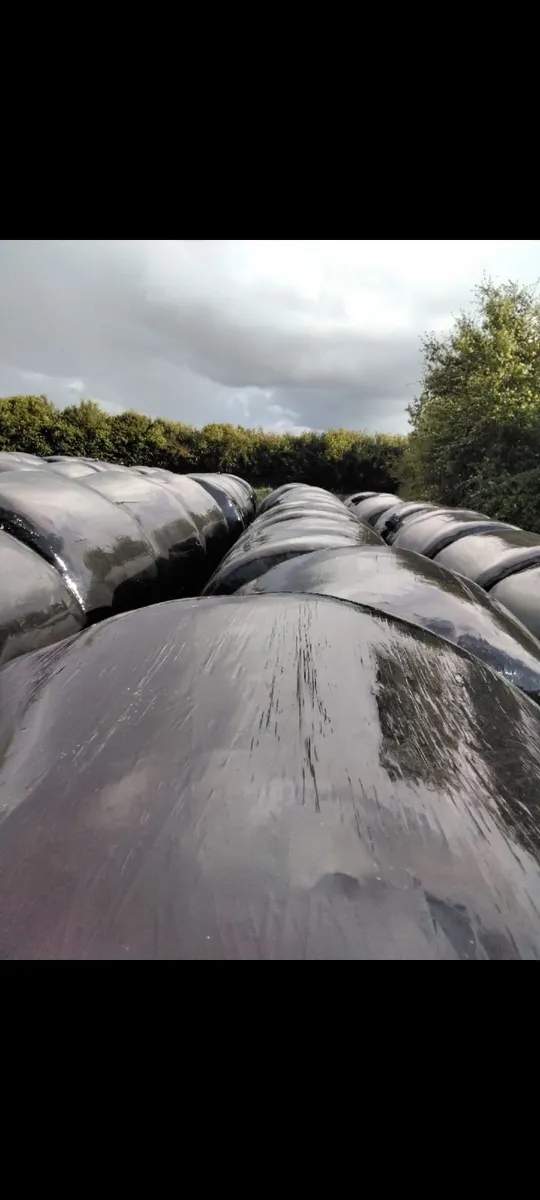 Silage Bales - Image 1
