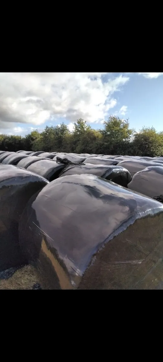 Silage Bales - Image 4