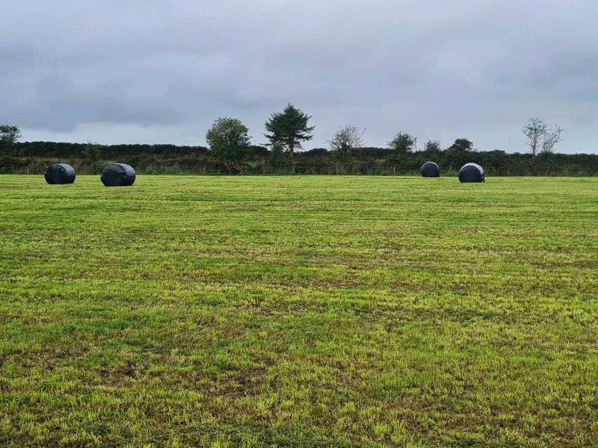 Silage bales - Image 1