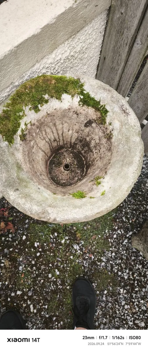 Antique garden flower pot - Image 3