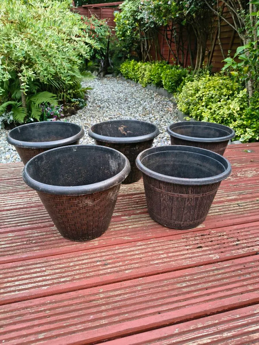 Five Flower Pots - Image 1