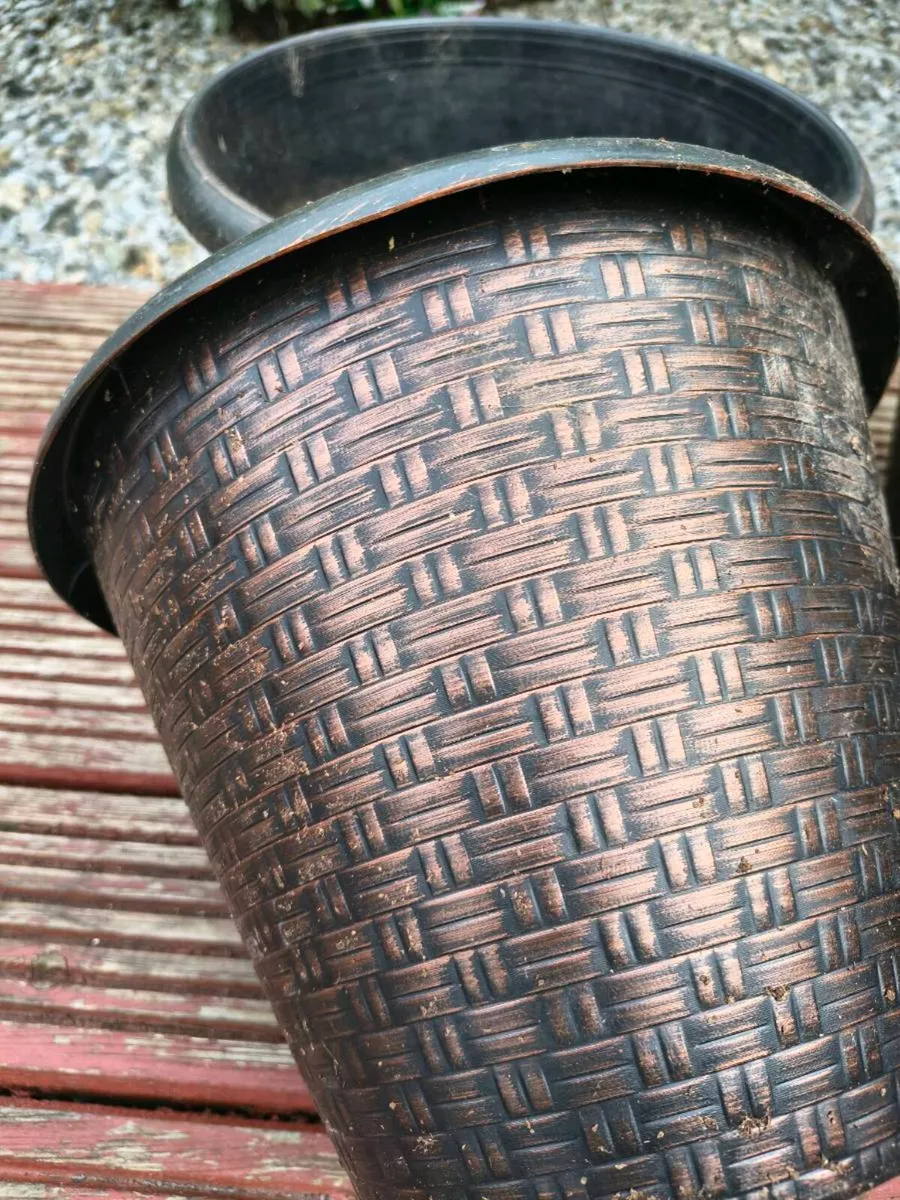 Five Flower Pots - Image 2