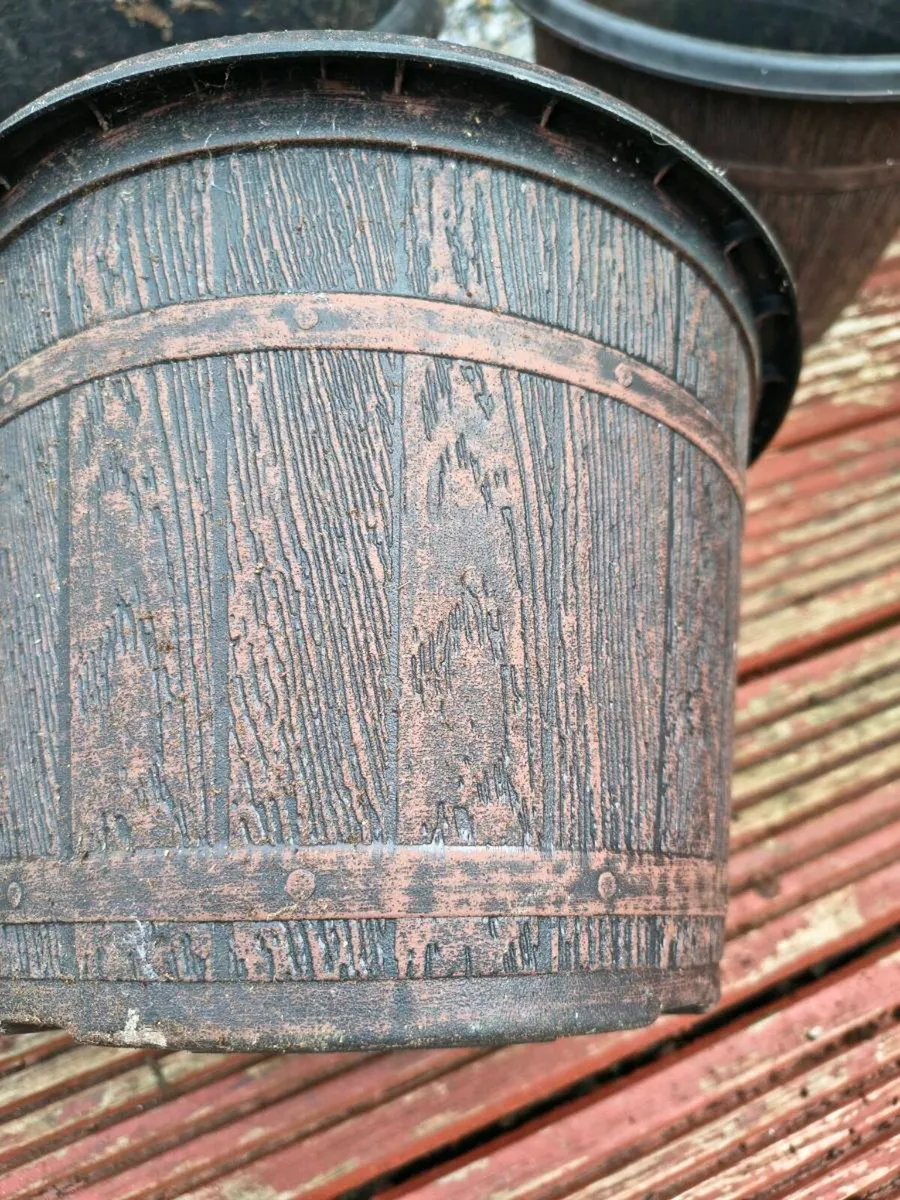 Five Flower Pots - Image 3