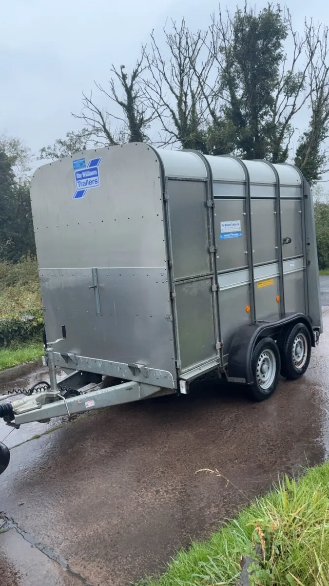 Ifor Williams 8 ft Cattle Trailer with sheep decks - Image 1