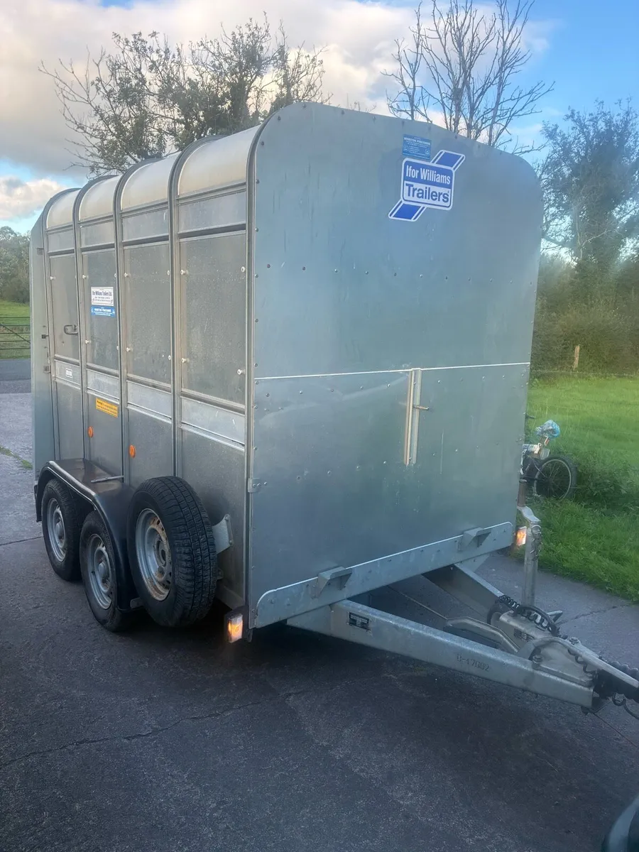 Ifor Williams 8 ft Cattle Trailer with sheep decks - Image 2