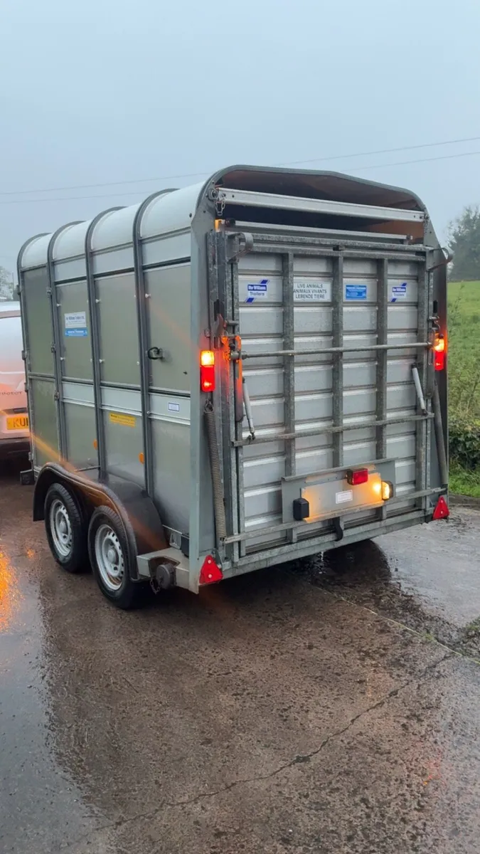 Ifor Williams 8 ft Cattle Trailer with sheep decks - Image 3