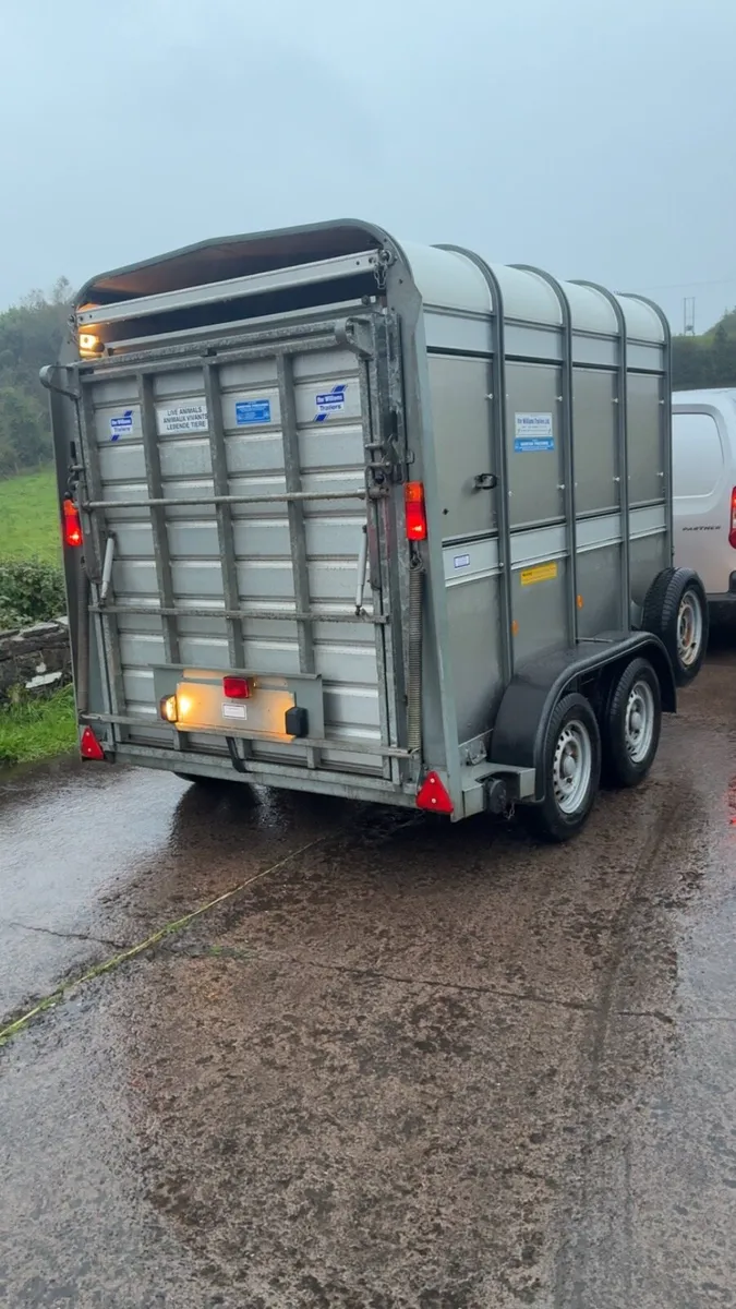 Ifor Williams 8 ft Cattle Trailer with sheep decks - Image 4