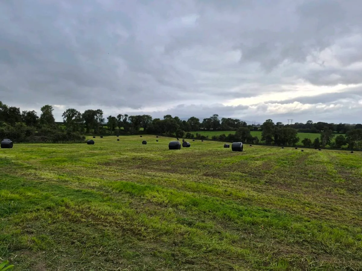 Silage Bales ""New Grass"" - Image 2