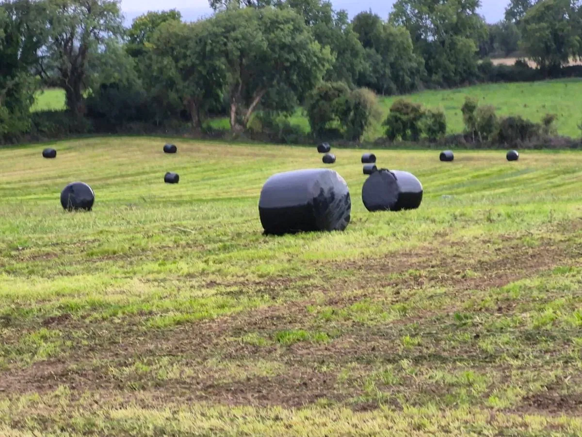 Silage Bales ""New Grass"" - Image 1