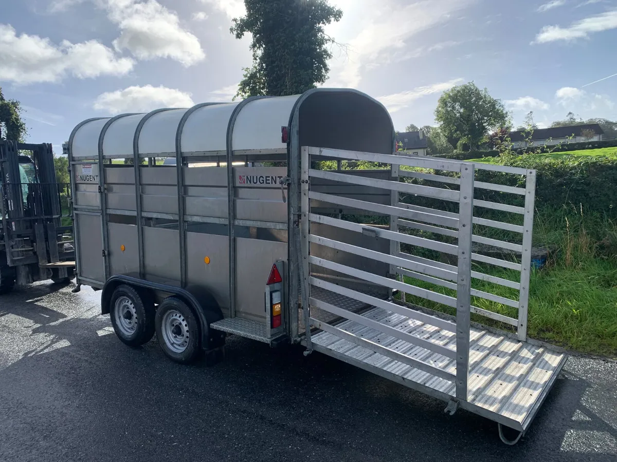 22 Nugent 10x5 Cattle Trailer - Image 3