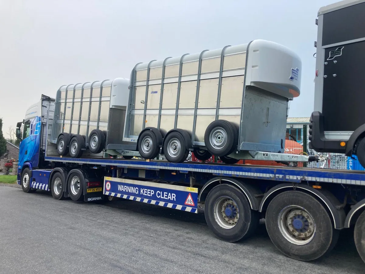 NEW Ifor Williams TA510 12x5’10x7 Horsebox